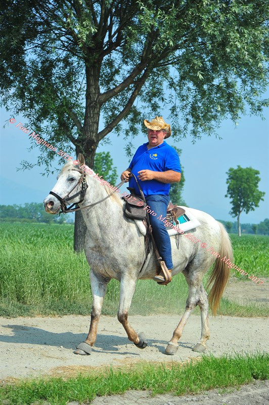 DSC_0812.JPG